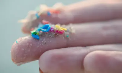 ha-uma-crescente-preocupacao-com-a-ameaca-que-os-microplasticos-pode-representar-para-a-saude-humana-1711564109281_v2_900x506.jpg Há uma crescente preocupação com a ameaça que os microplásticos pode representar para a saúde humana
Imagem: Alistair Berg/Getty Images