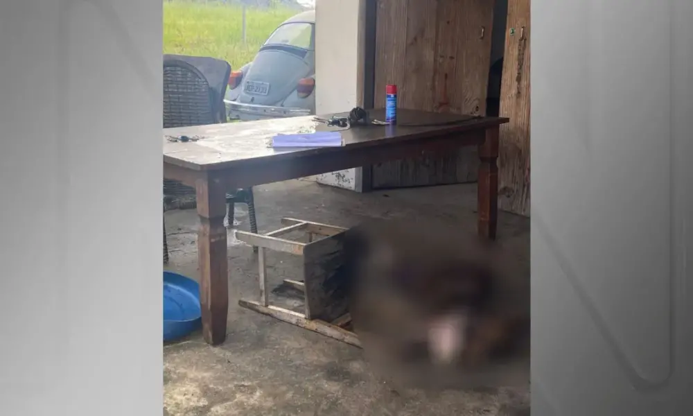 inserir um titulo 2024 04 24t120313.880 inserir um titulo 2024 04 24t120313.880