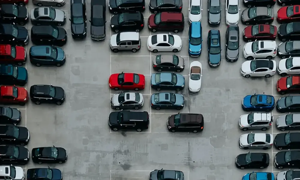 ivana-cajina-WPVtT0MEM00-unsplash-e1712583512235 ivana-cajina-WPVtT0MEM00-unsplash-e1712583512235