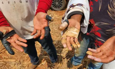 Foto: Ministério do Trabalho/Divulgação