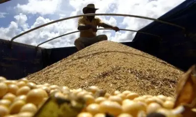 tagreuters.com2024binary lynxnpek3b0kw baseimage As vendas externas de açúcar, algodão e café verde foram os principais responsáveis pelo incremento do resultado
REUTERS/Paulo Whitaker/Arquivo