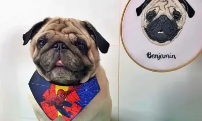 whatsapp image 2023 04 12 at 15.06.13 1000x600 1 jpeg