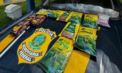 whatsapp image 2024 04 12 at 17.55.16 whatsapp image 2024 04 12 at 17.55.16