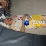 whatsapp image 2024 04 17 at 05.10.04