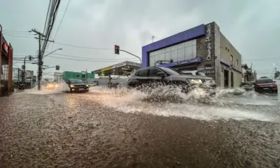 whatsapp image 2024 04 17 at 14.58.38 1000x600