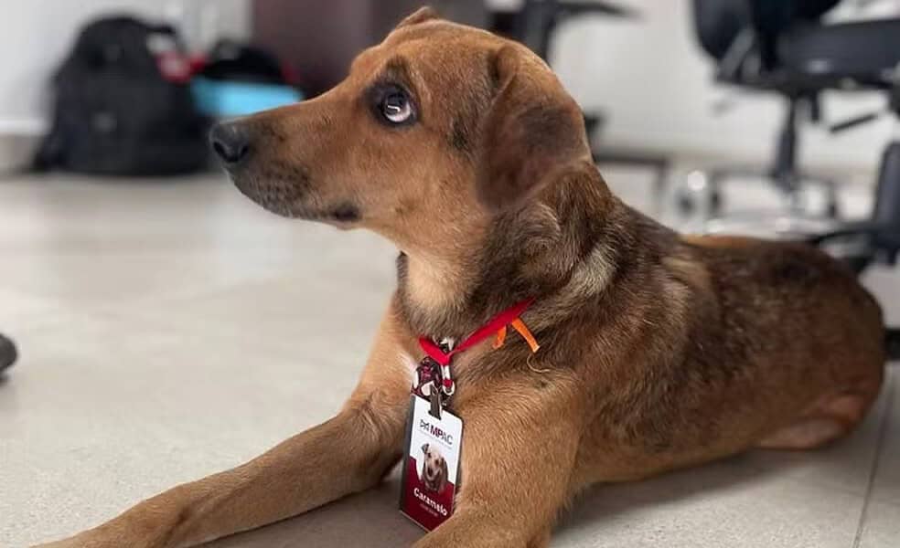 whatsapp image 2024 04 18 at 17.08.47 whatsapp image 2024 04 18 at 17.08.47