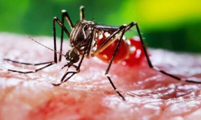 whatsapp image 2024 04 19 at 18.36.47 whatsapp image 2024 04 19 at 18.36.47