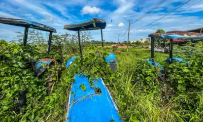 whatsapp image 2024 04 22 at 06.21.30 1000x600