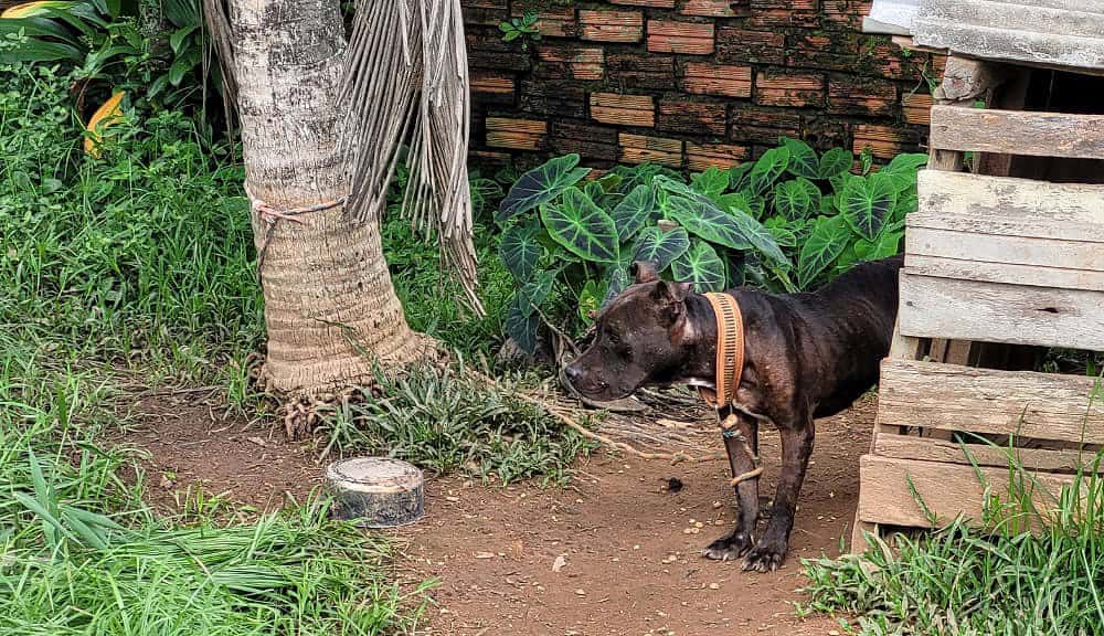 whatsapp image 2024 04 22 at 17.29.34 whatsapp image 2024 04 22 at 17.29.34