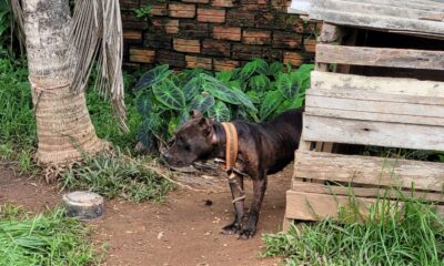 whatsapp image 2024 04 22 at 17.29.34