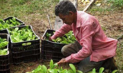 whatsapp image 2024 04 24 at 17.03.00 1 e1714511624485 whatsapp image 2024 04 24 at 17.03.00 1 e1714511624485