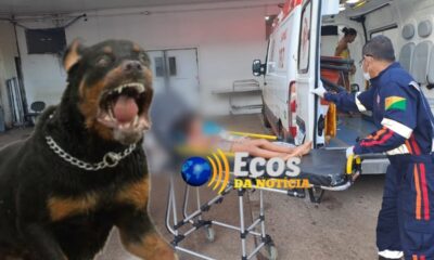 whatsapp image 2024 04 27 at 00.02.46 (1)