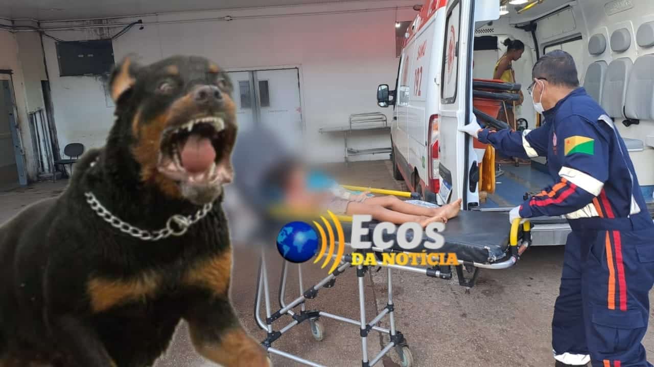 Ataque de Rottweiler deixa criança ferida em Rio Branco