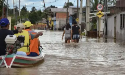 whatsapp image 2024 04 28 at 14.24.54 jpeg