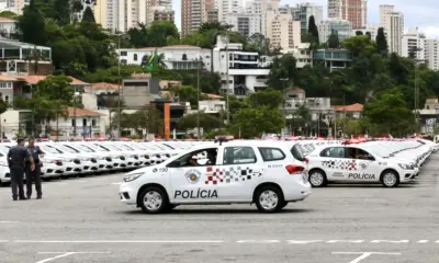 49194279472 77241b6401 o 49194279472 77241b6401 o