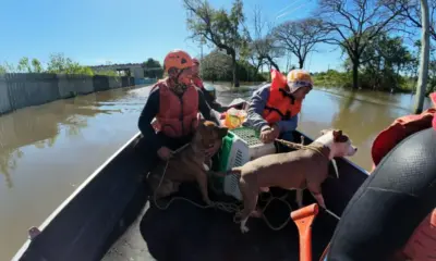 4abe43fe a5d4 433c a2a0 1ea56ec57daa 1 1000x600