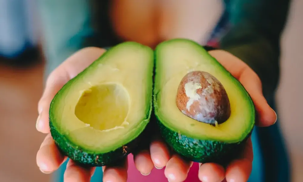 avocado g14f17e7b4 1920 avocado g14f17e7b4 1920