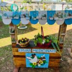 c4159034 db3f 4323 b6ab a25657e7f462