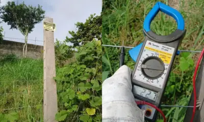 cerca 996×600 1 jpg cerca 996x600 1 jpg