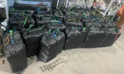 d1094d52 0873 453d a0c3 443abb7e6c48 jpeg d1094d52 0873 453d a0c3 443abb7e6c48 jpeg