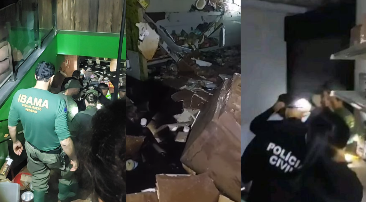 Petshop no RS deixou animais morrerem no subsolo e salvou computadores, diz delegada