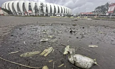 destruicao beira rio 4 e1715626464857