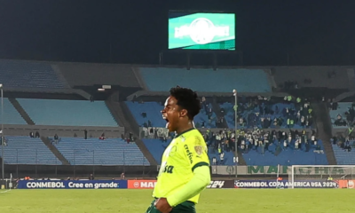 endrick comemora gol do palmeiras no estilo king kong endrick comemora gol do palmeiras no estilo king kong