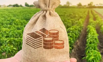 frame 321 24 978x600