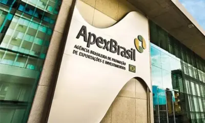 frame 335 21 976×600 frame 335 21 976x600