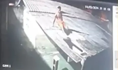 frame 335 24 976×600 frame 335 24 976x600