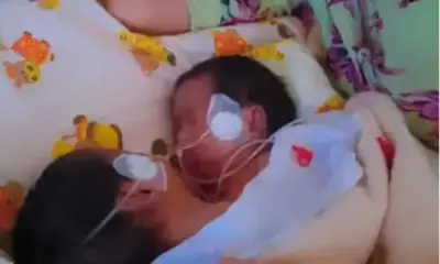 frame 335 58 976×600 frame 335 58 976x600