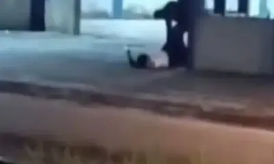 frame 335 67 976x600