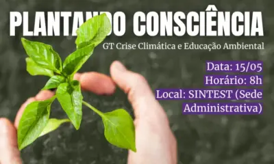 frame 335 93 976x600