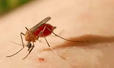 frame 358 37 976x600