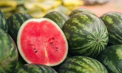 frame 358 78 976×600 frame 358 78 976x600