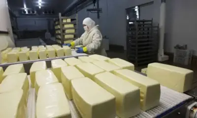 img 7612 jpeg img 7612 jpeg