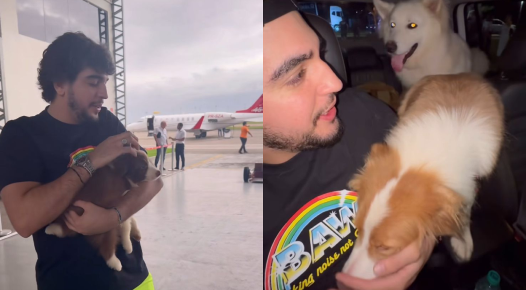 nattan cachorros henrique e juliano