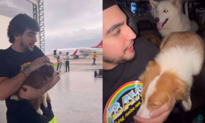 nattan cachorros henrique e juliano