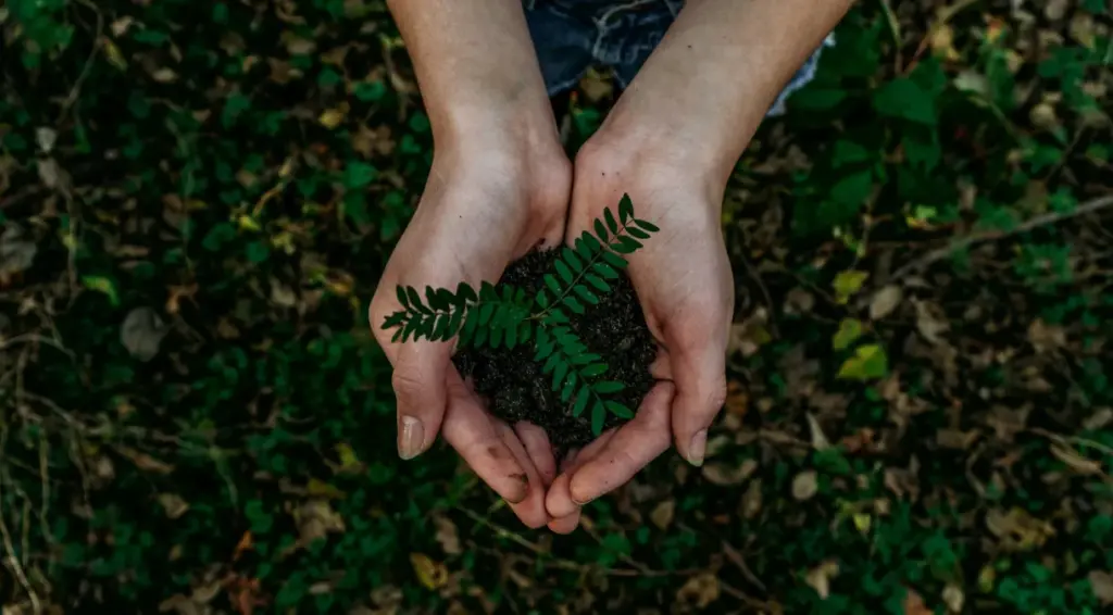 noah buscher x8zstuks2pm unsplash