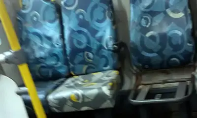onibus 996×600 onibus 996x600