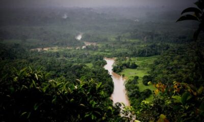 parque chandless 768×510 parque chandless 768x510