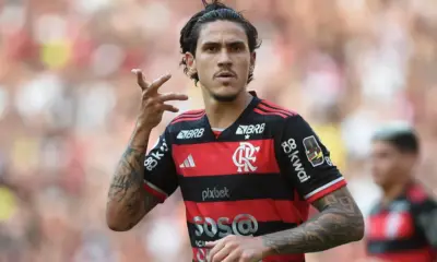 pedro pedro