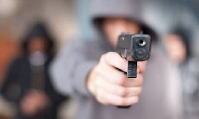 portaldoholanda 989199 imagem foto 1amazonas portaldoholanda 989199 imagem foto 1amazonas