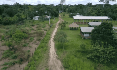 reproducao internet reproducao internet