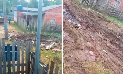 sapo lama 976×600 sapo lama 976x600