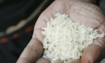 tagreuters.com2024binary lynxmpek4s0kb filedimage