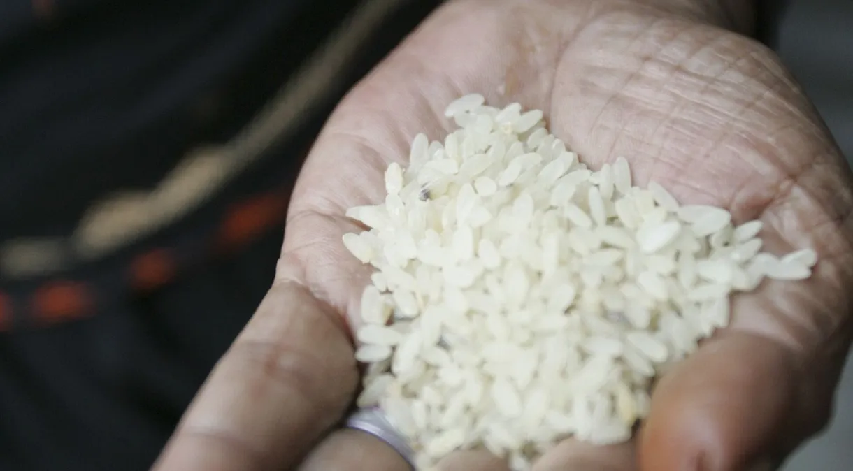 Arroz importado deve chegar nos mercados em até 40 dias, diz ministro da Agricultura