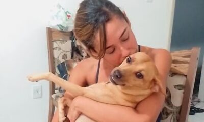 whatsapp image 2024 05 02 at 16.39.18 whatsapp image 2024 05 02 at 16.39.18