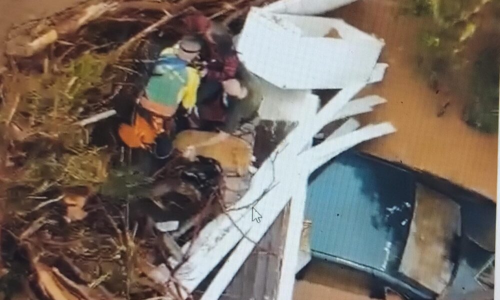 whatsapp image 2024 05 03 at 14.09.36 whatsapp image 2024 05 03 at 14.09.36