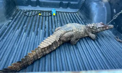 whatsapp image 2024 05 03 at 15.25.45 1 1000×600 whatsapp image 2024 05 03 at 15.25.45 1 1000x600